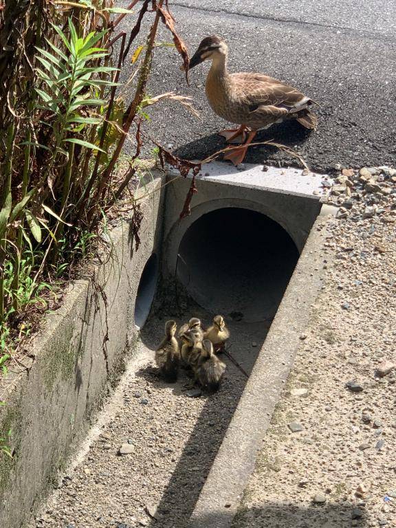 あちあち