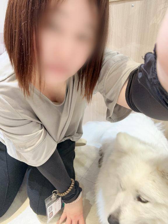 きたきた！
