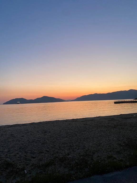 浄化