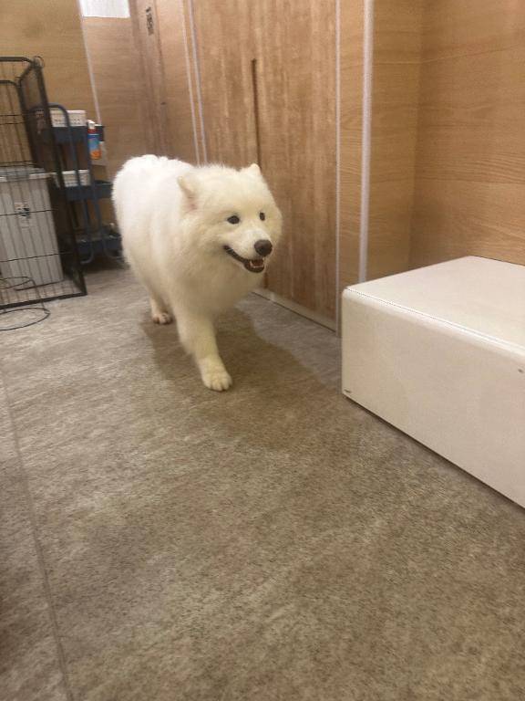 久々の！