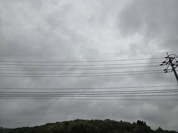 おはようございます?