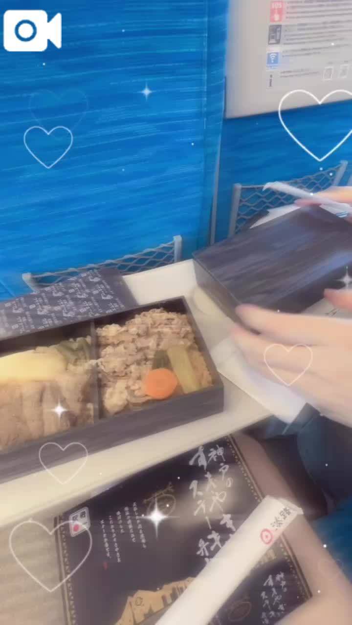 人生初の駅弁🍱
