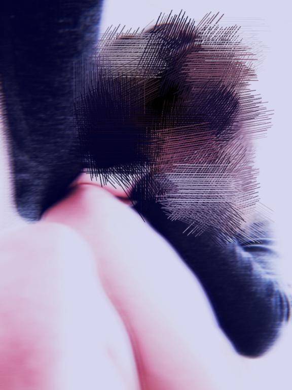 値上がりしてる?