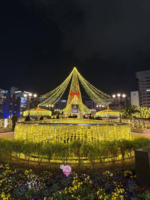 高くなりました???????????