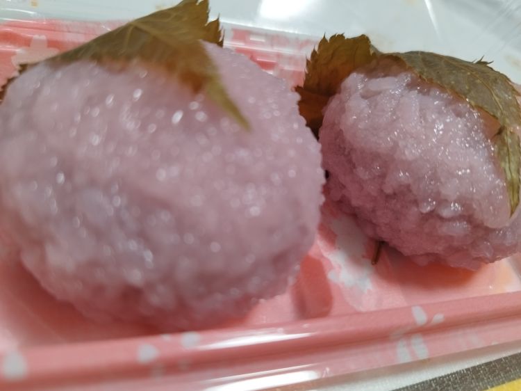 季節はちょっと早め？時間は遅め。