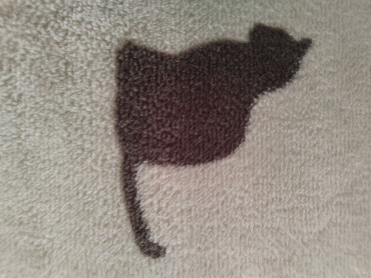 今年初出勤です！