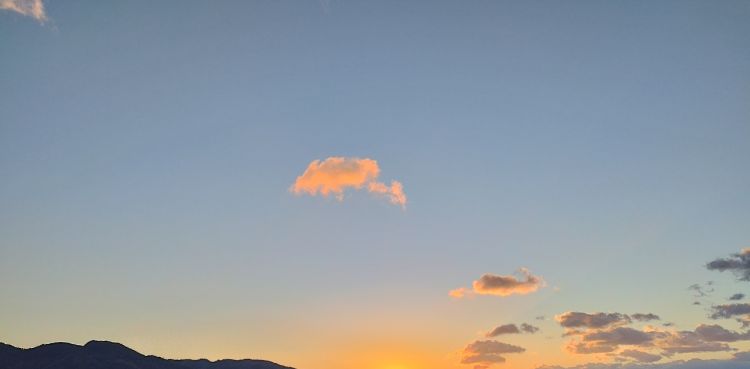 さ....寒い朝❄️