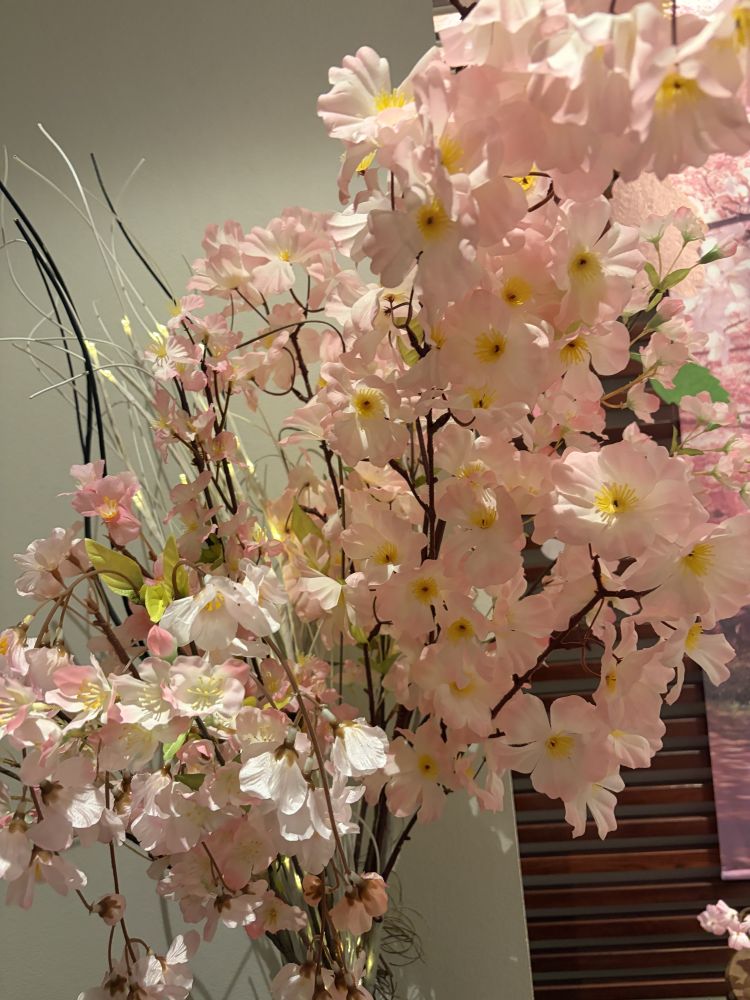 おはようございまーす