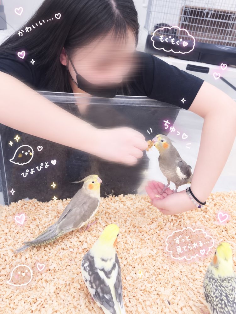 しゅーーきん！