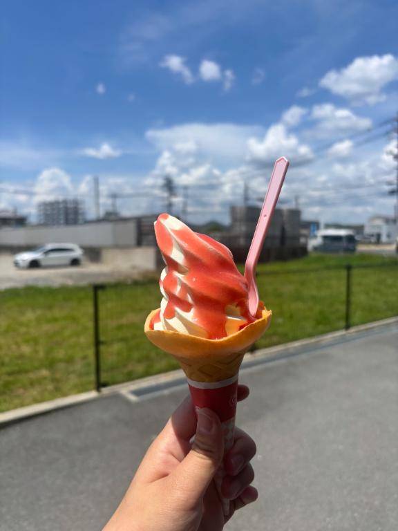 暑い日のアイスは美味しすぎる?