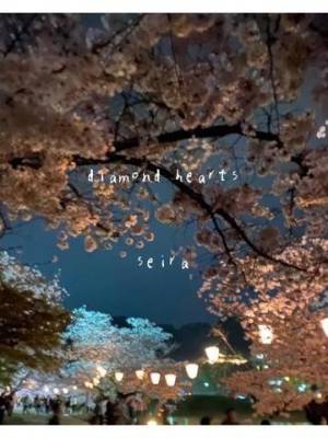 🌸夜桜🌸