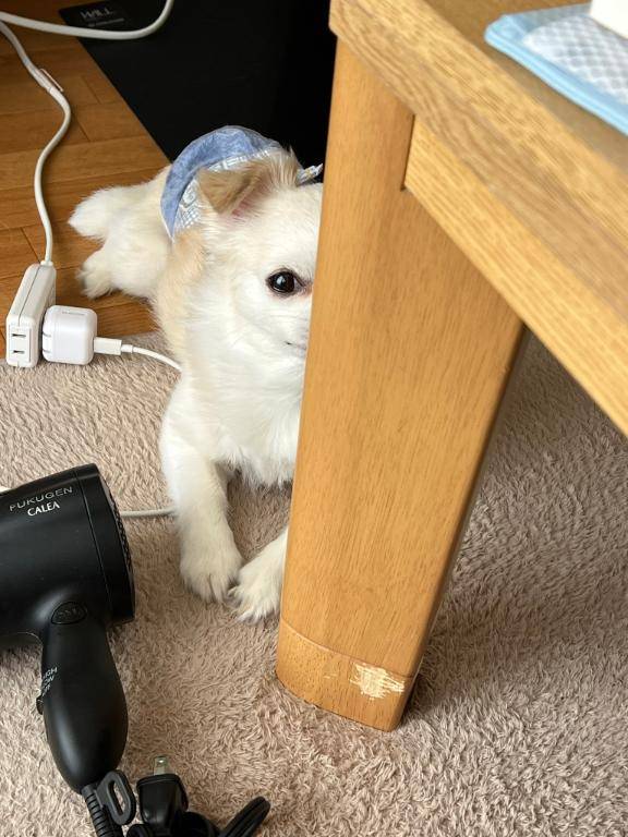 ?そこから見てる…?