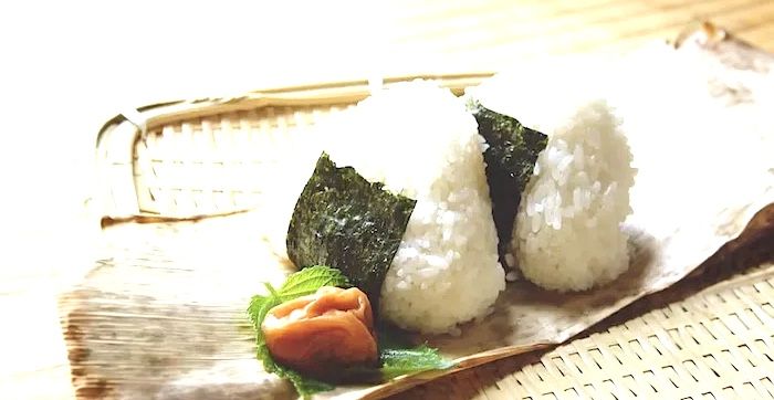 @🍙おにぎりの化石発見 !