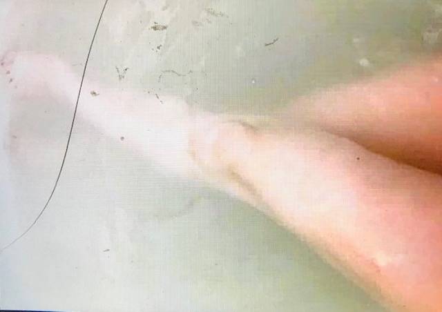 &🛀お風呂タイム__ !