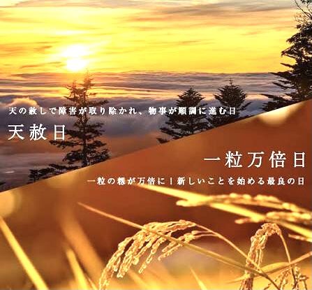 @大吉日__[2025年] !