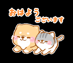 ☆おはようございます☆