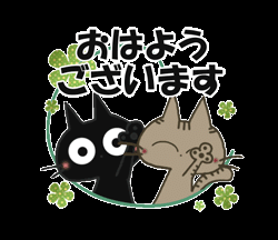 ☆おはようございます☆