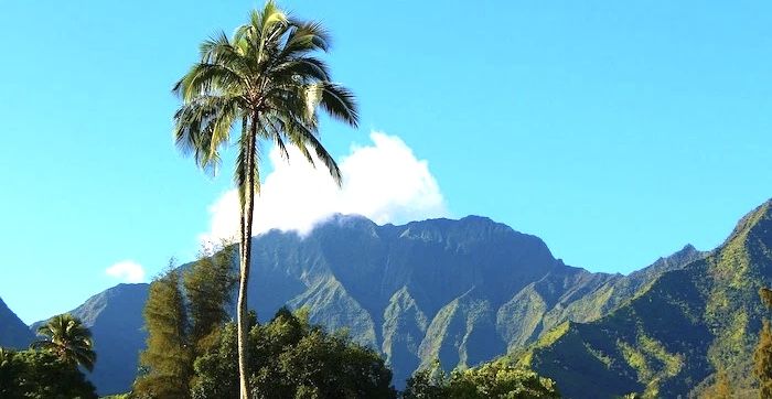 @ハワイへ__移民出発の日 !