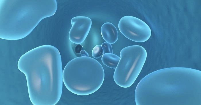 @STAP細胞騒動__ !