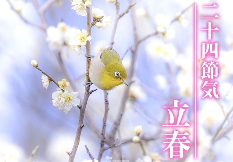 @立春__[2026年] !