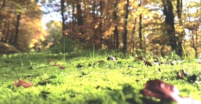 @啓蟄•けいちつ[2026年]__!