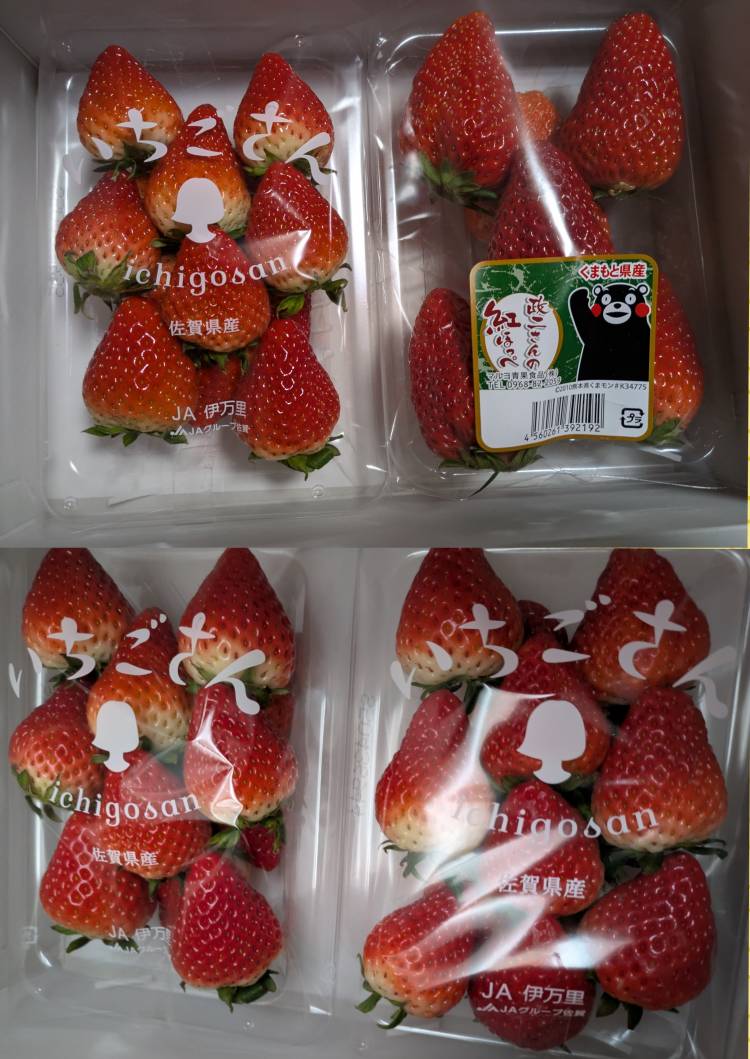 苺🍓