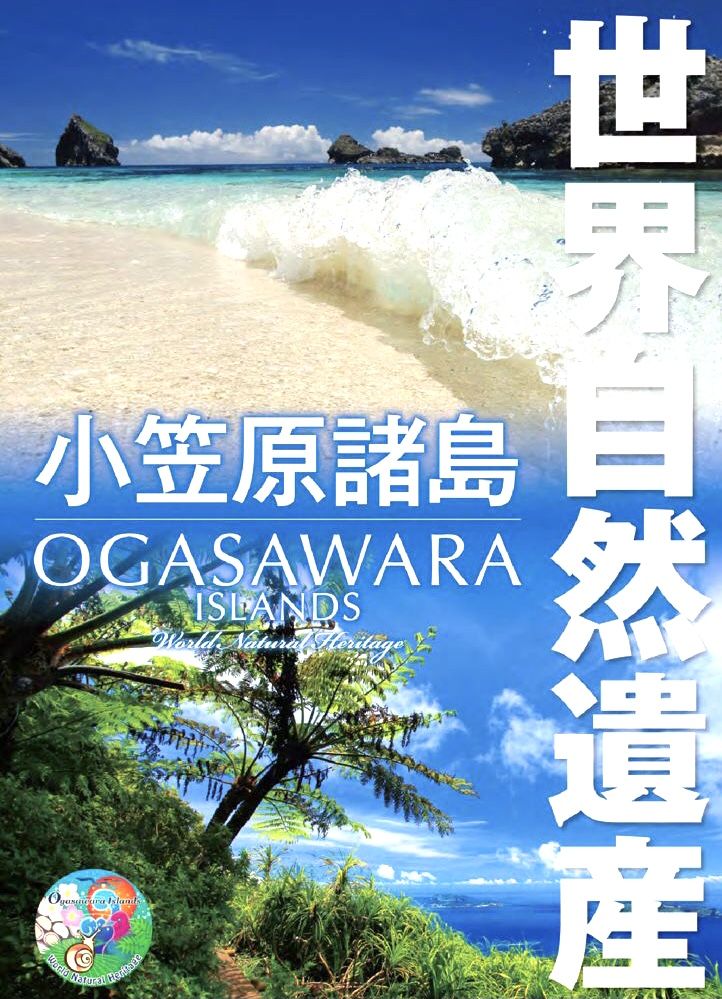 ★竹下　詩織★