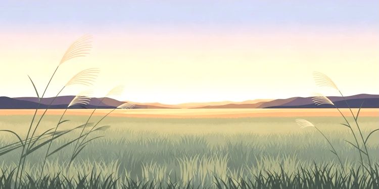 @立秋__[2026年] !