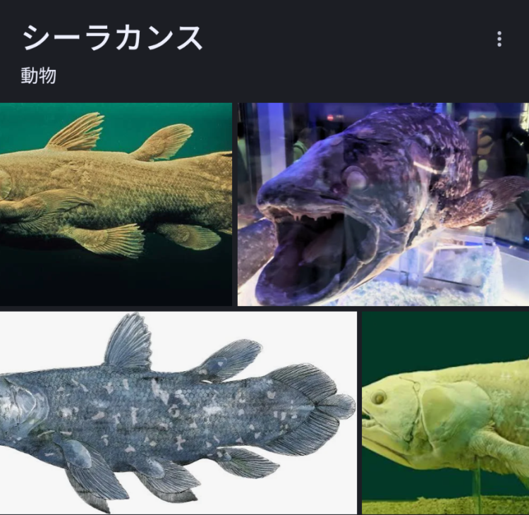 [お題]from:下痢するってよさん