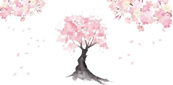 @東京市〜ワシントンD.C.へ__桜の木を寄贈 !