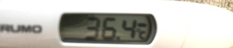 @今日の健康診断__体温 !