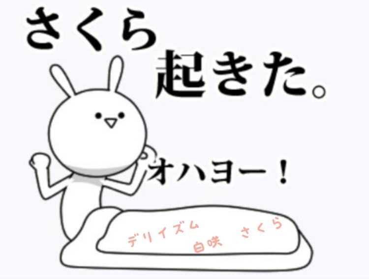 おはようございます