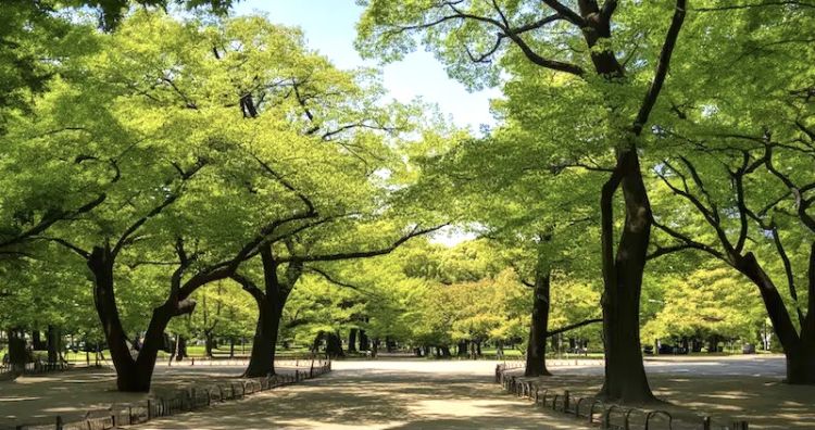 @代々木公園開園__ !