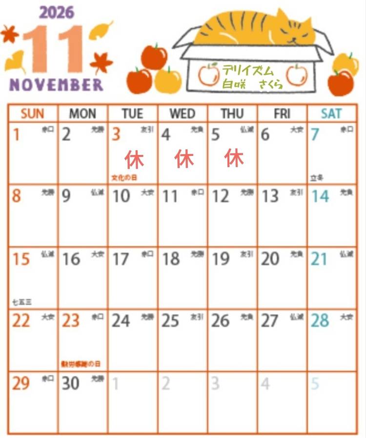 11月のお休み予報🌸