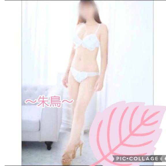 🩷こんばんは…🩷