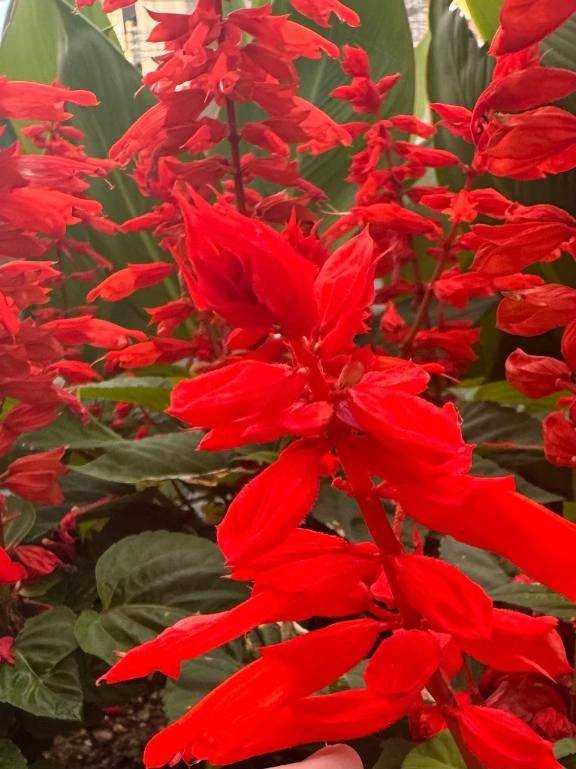 お久しぶりの✨✨