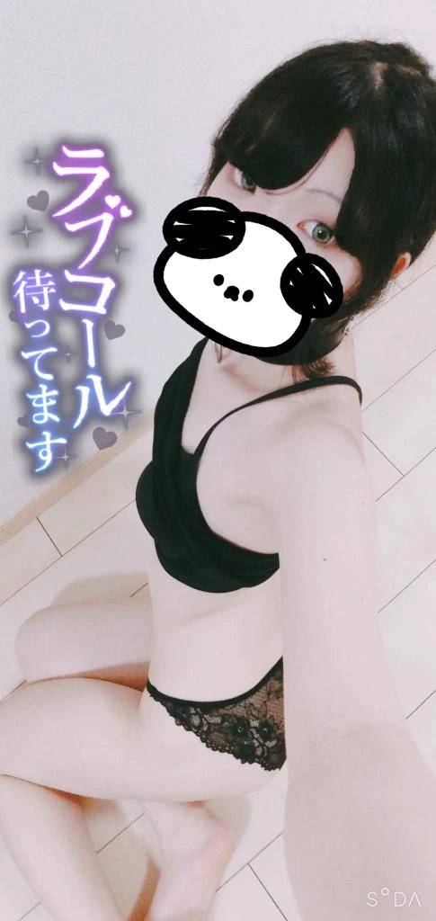 8日間お世話になります🐕️