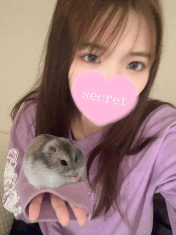 はむはむ🐹