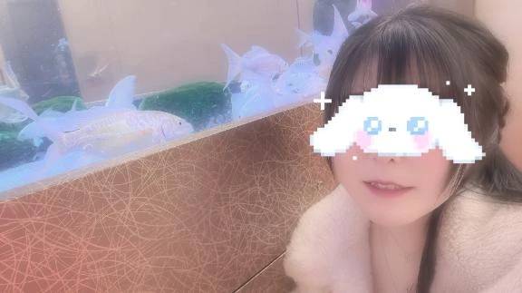 初めまして✨