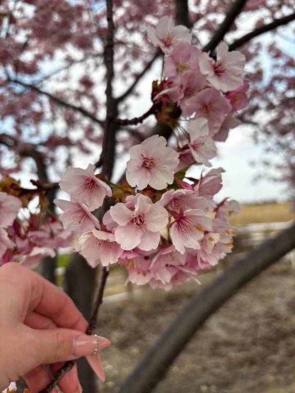 桜散っちゃったね😞