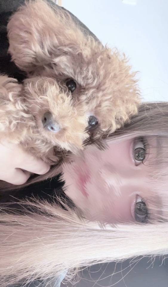 犬系🐶💚