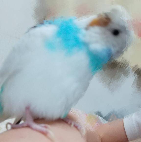 ○ぬほど可愛い上目遣い