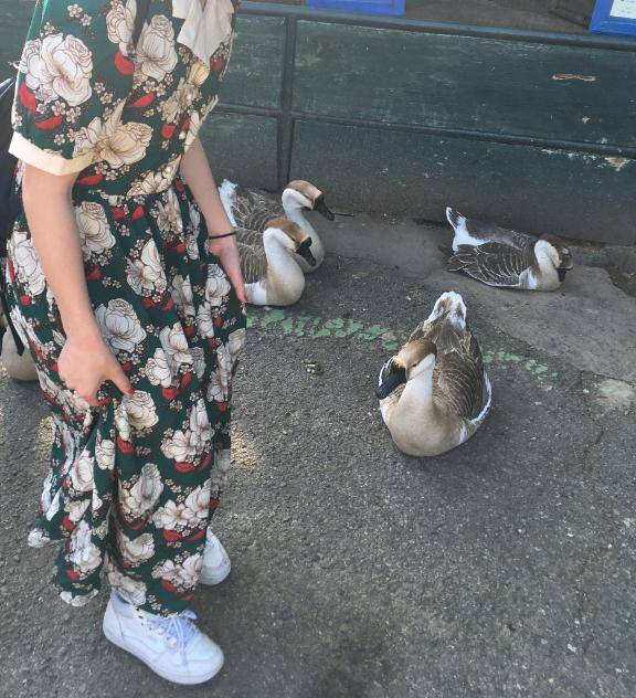 新しい買い物??