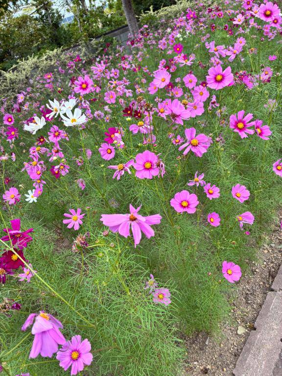 おはようございます?