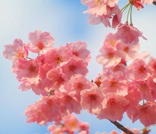 ?ヴェルシス407様??