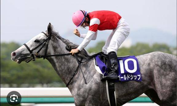 あけましておめでとうございます?