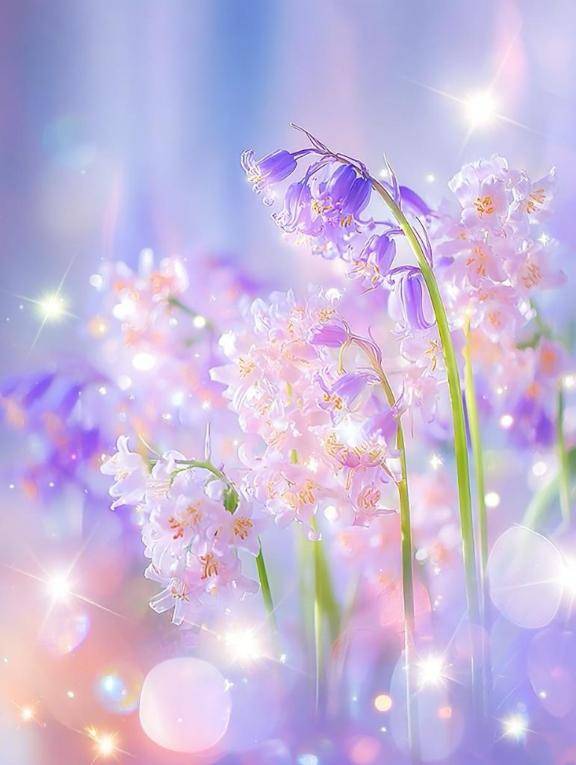 ?好きなオプション?