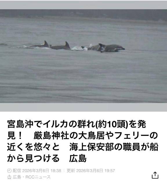 い、イルカ！？???