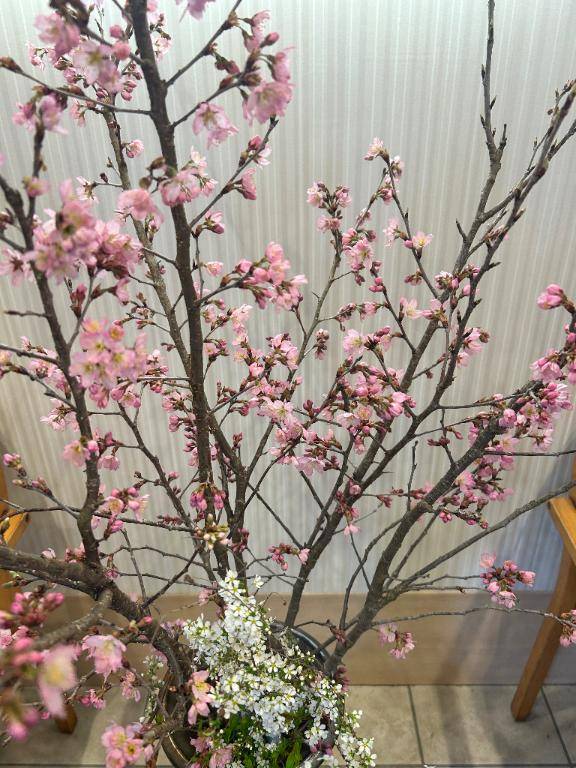 おはようございます?