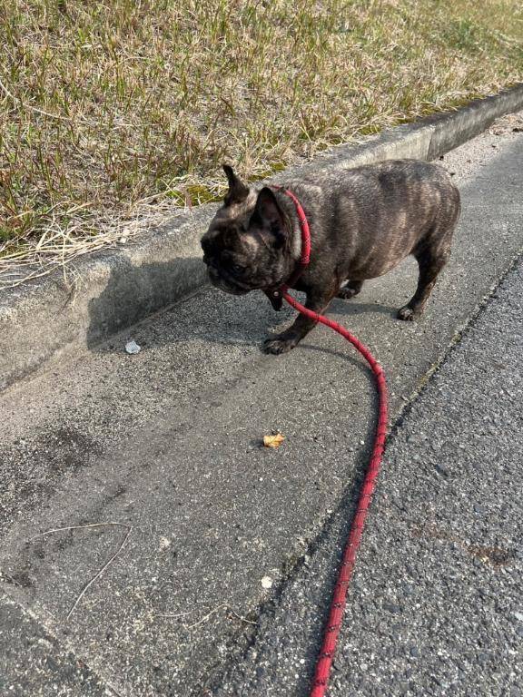 させられてる...？